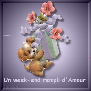Bon Week-End tout le monde